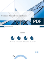Company Annual Business Report