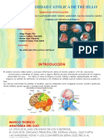 Trabajo de Investigación Los Sentidos y La Percepción