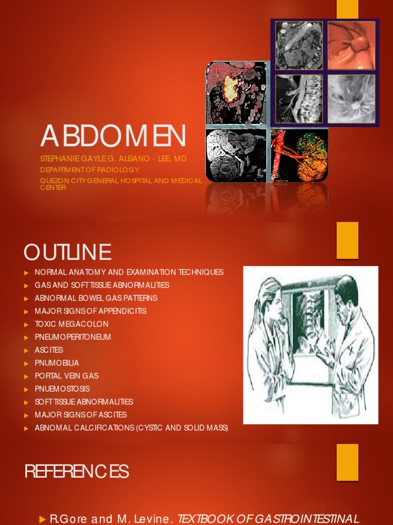 Gastrointestinal Imaging | PDF | Stomach | Large Intestine