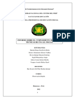 Informe Final de Observación Dirigida