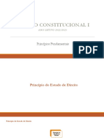 Direito Constitucional I - Princípio Do Estado de Direito