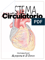 Sistema Circulatorio