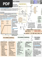 ICU One Pager Lactic Acidosis-Zxle8y