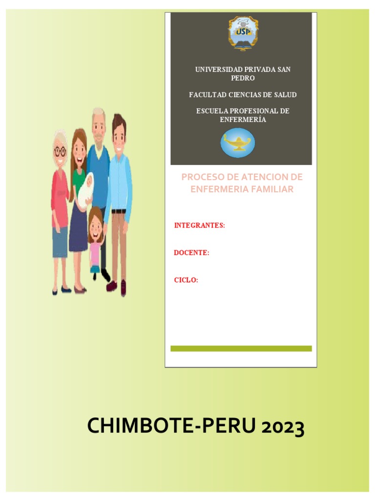 Modelo de pPAE | PDF | Enfermería | Cuidado de la salud