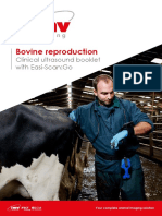 Bovine Reproductive Ultrasound Guide