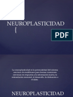 NEUROPLASTICIDAD