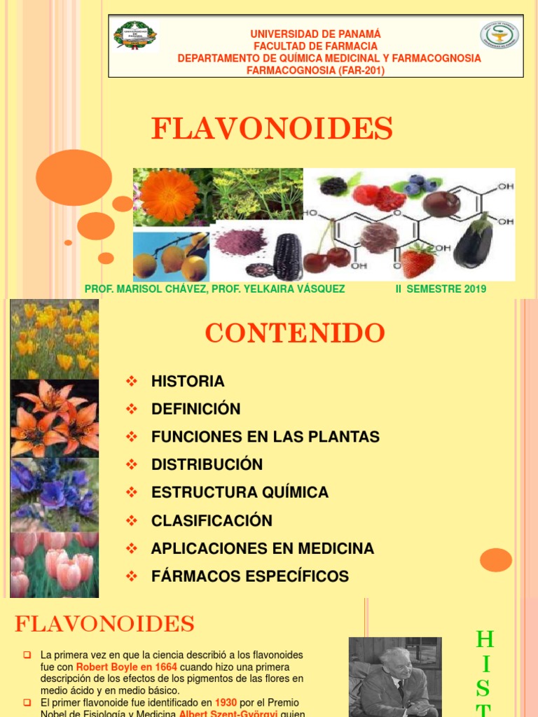 Clasificación y funciones de flavonoides | PDF | Flavonoide | Solvente