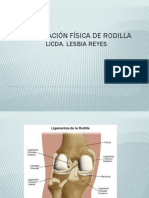 Exploración de Rodilla