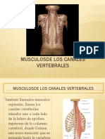 05 Musculosde Los Canales Vertebrales