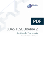 SDAS TESOURARIA 2