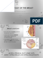 Anatomy of The Breast1