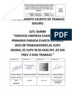 2.3.PETS N°066-V01 - S64980 - Limpieza Chancadora Primaria-Octubre 2022