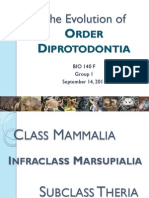 The Evolution of Order Diprotodontia