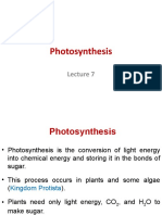 Photosynthesis 1 20210413 103416