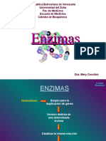 Enzimas 3