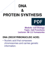 ZOO 111 (Lecture 12 - DNA & Protein Synthesis I-II 2020)