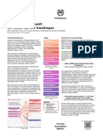 PosterVorlage-Diabetes Typ 1