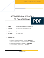 Ef - Sistema de Informacion - Grupo 06