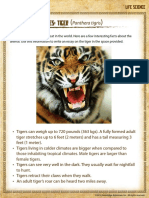 Endangered Species Tiger
