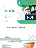 Anatomia y Patología - Mama