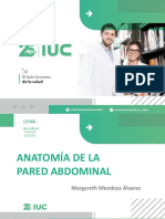 Pared Abdominal y Peritoneo Anatomía
