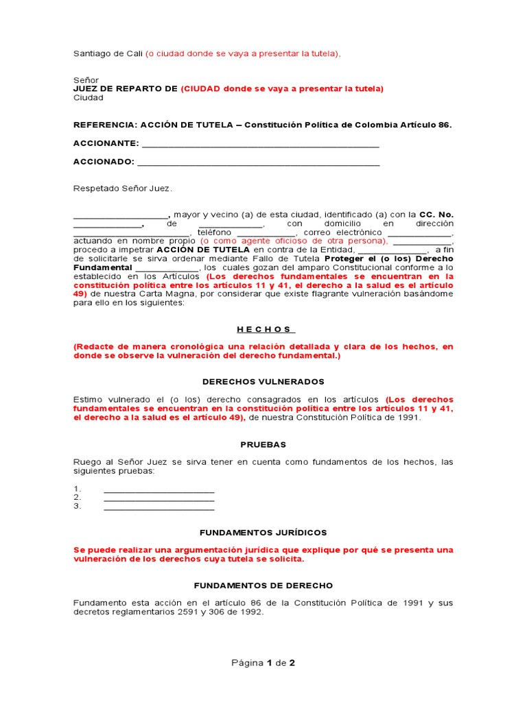 Modelo de Acción de Tutela en Colombia | PDF | Constitución | Gobierno