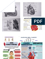 Notitas Enfermeria