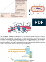 Cell Envelope