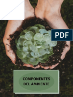 Componentes Del Ambiente