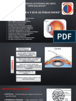 Cornea y Sus Alteraciones