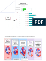 Tarea 09 Sist - Circulatorio CD Sem 09