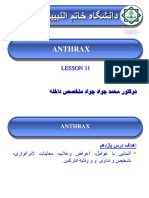 Anthrax 11