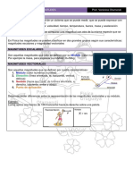 Ficha Magnitudes Fisicas y Clasificacion