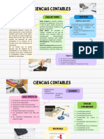 Organizador Grafico Contabilidad