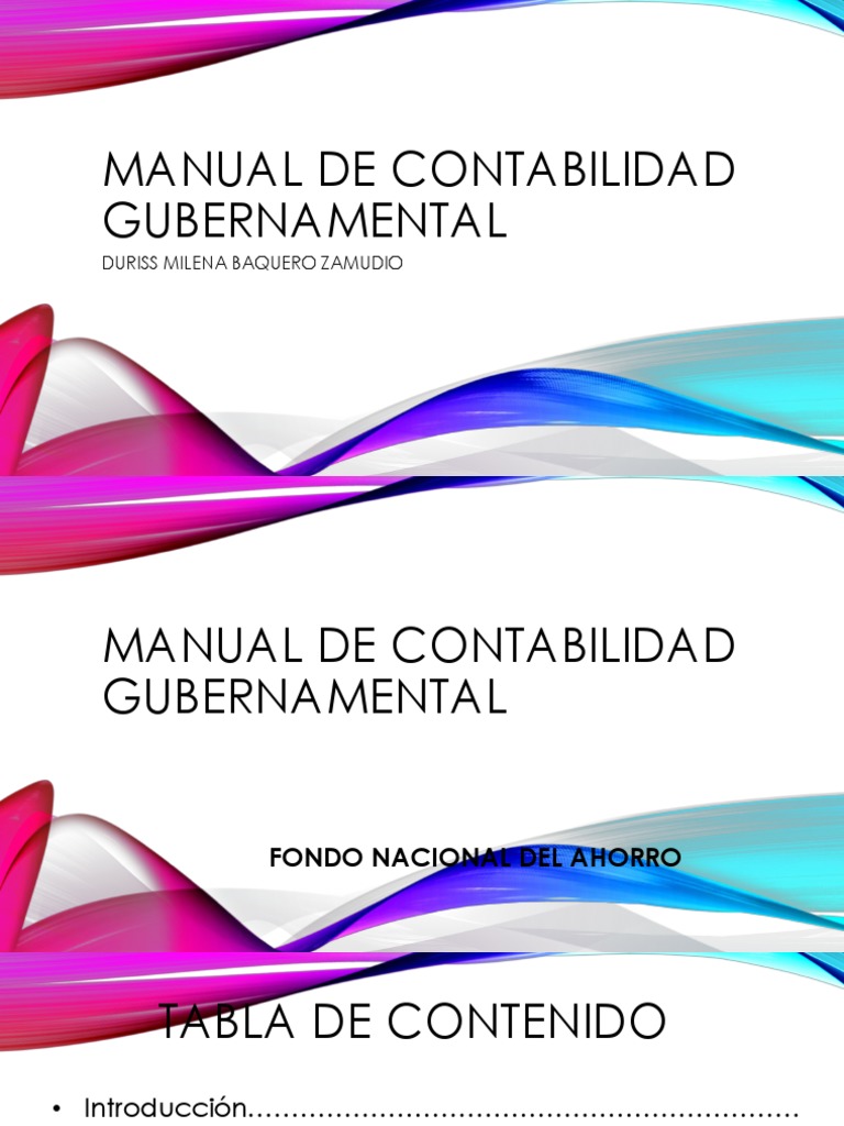 manual-de-contabilidad-gubernamental-pdf-contabilidad-estado