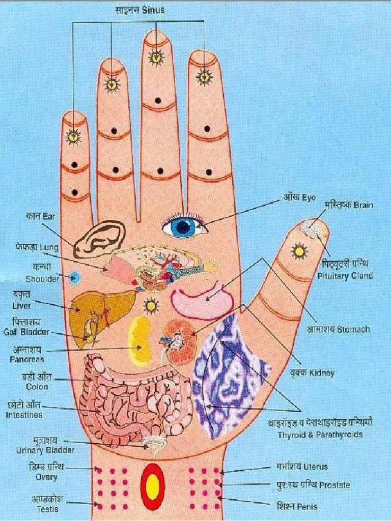 Accuhandpoints | PDF