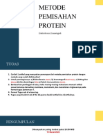 Metode Pemisahan Protein: Elektroforesis, Kromatografi