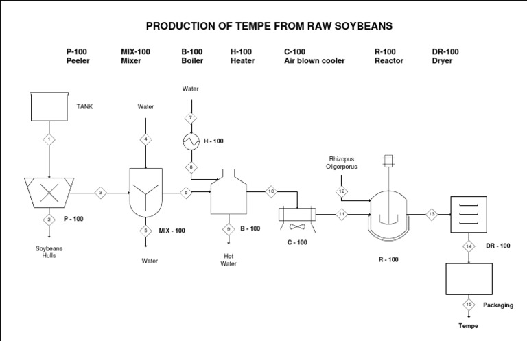 Tempe Production from Soybeans Guide | PDF