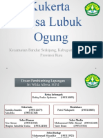 Proker Kukerta Desa Lubuk Ogung