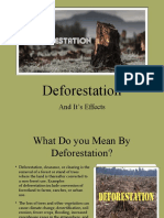 Deforestation and Its Ef.8989966.Powerpoint