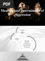 Aggression Social Psychology