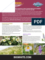 Wildflowers Field Guide BW 8.5x11 Web