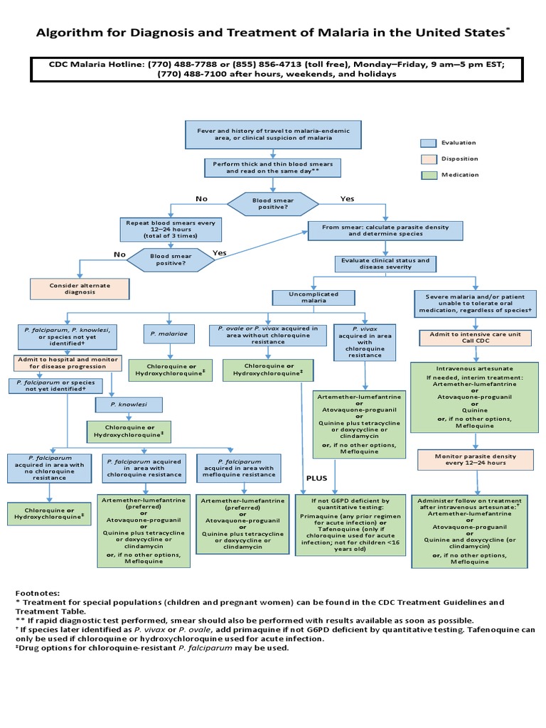Malaria Management Algorithm | PDF | Malaria | Plasmodium Falciparum