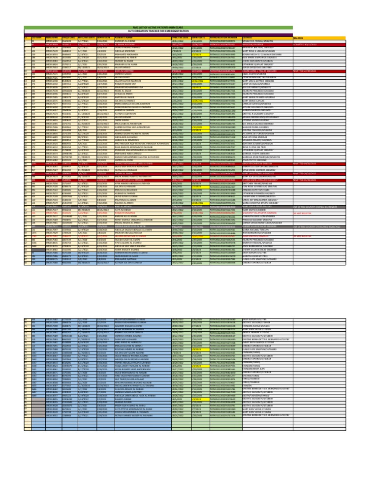 Homecare Patient Authorization Tracker | PDF