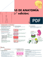 Laminas de Anatomia 1° Edición