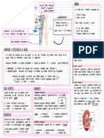 Resumen Nefrología UF