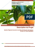 Description Synthèse Du Projet SyRIMAO