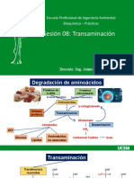 Sesion 08 - Transaminacion - Bioquimica - Ing Ambiental 2021