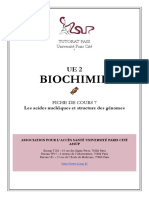 Biochimie 07 - Les Acides Nucéiques Et Structure Du Génome