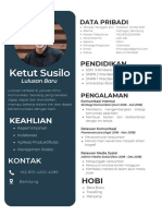 Blue Bright Yellow Color Blocks Salesperson CV